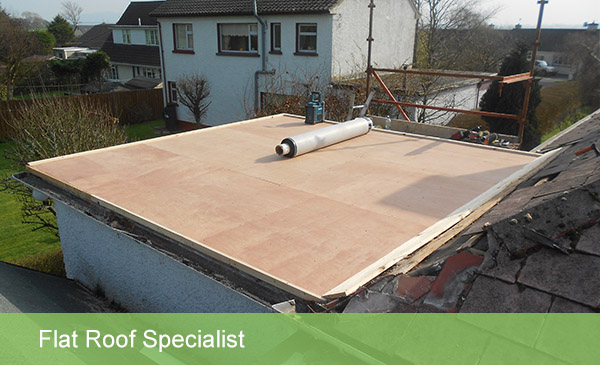 Flat Roof specialist | Denis Fahey construction